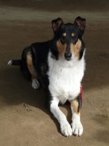 tn_Ian at Highland Games