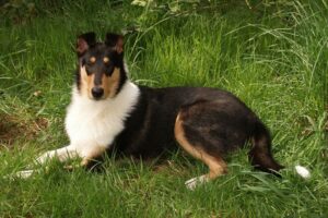 tn_ian in grass 6mo 4x6