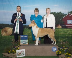 tn_AOM CCA April 2019