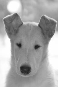 tn_DSC_0008v3