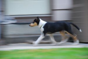 tn_DSC_0038