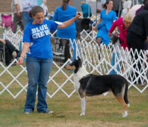 tn_aDSC_0181