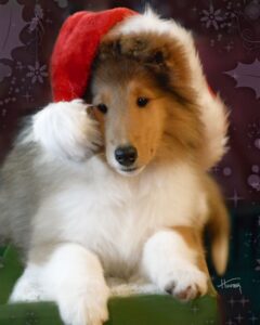 tn_twistxmas
